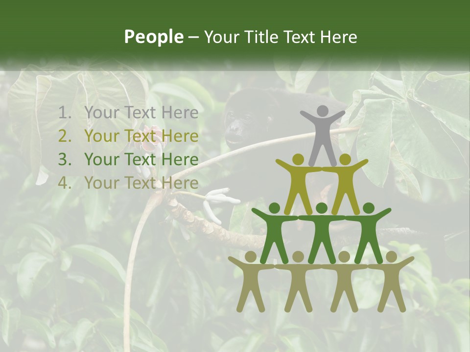 Tail Neotropics Mammal PowerPoint Template