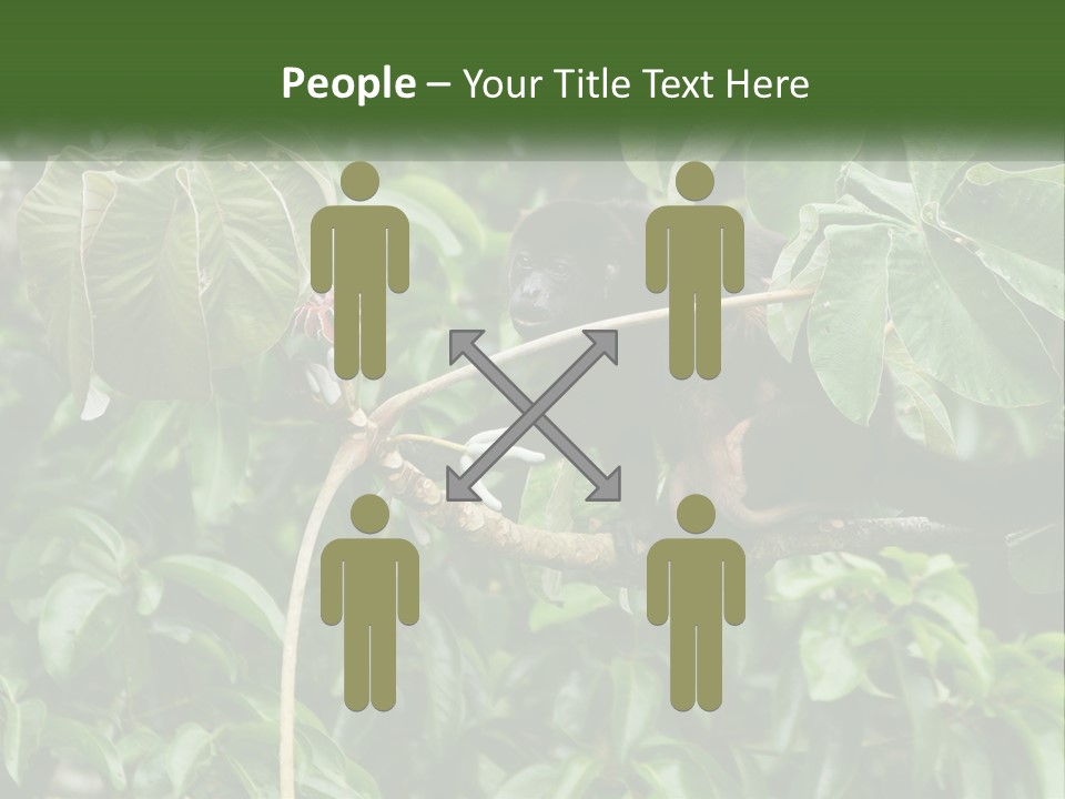 Tail Neotropics Mammal PowerPoint Template