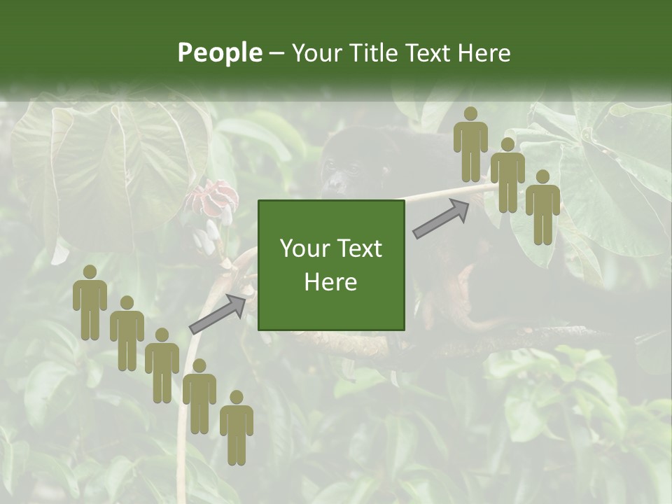 Tail Neotropics Mammal PowerPoint Template