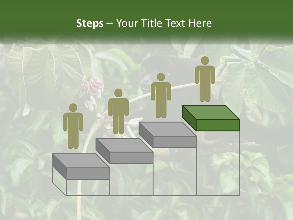Tail Neotropics Mammal PowerPoint Template