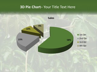 Tail Neotropics Mammal PowerPoint Template