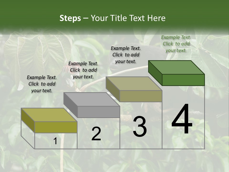 Tail Neotropics Mammal PowerPoint Template