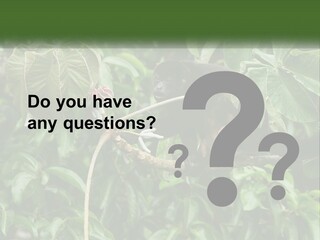 Tail Neotropics Mammal PowerPoint Template
