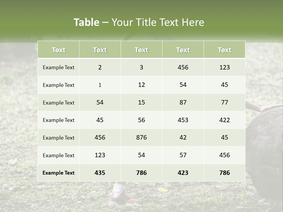 Real Shoe Leaf PowerPoint Template