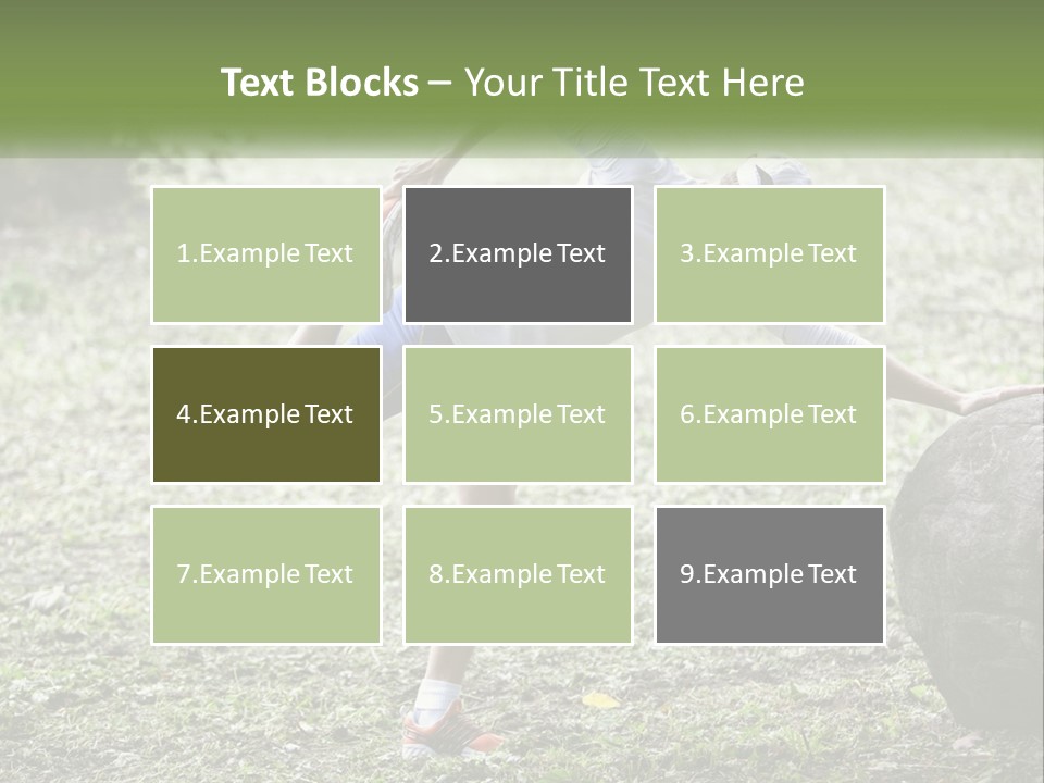 Real Shoe Leaf PowerPoint Template