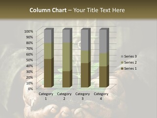 Dirty Soil Background PowerPoint Template