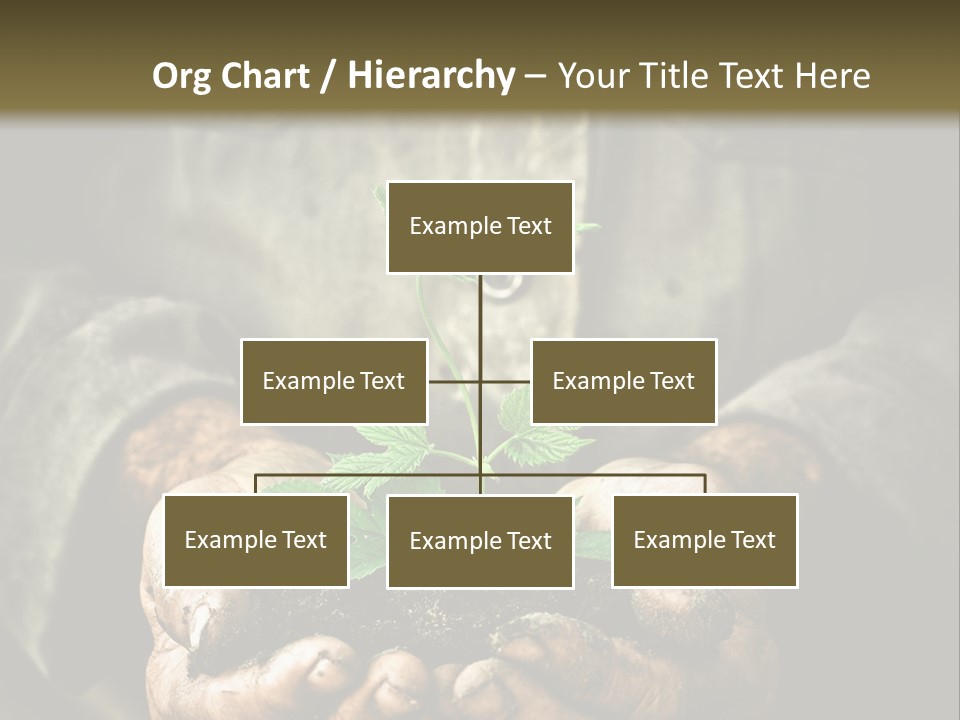 Dirty Soil Background PowerPoint Template