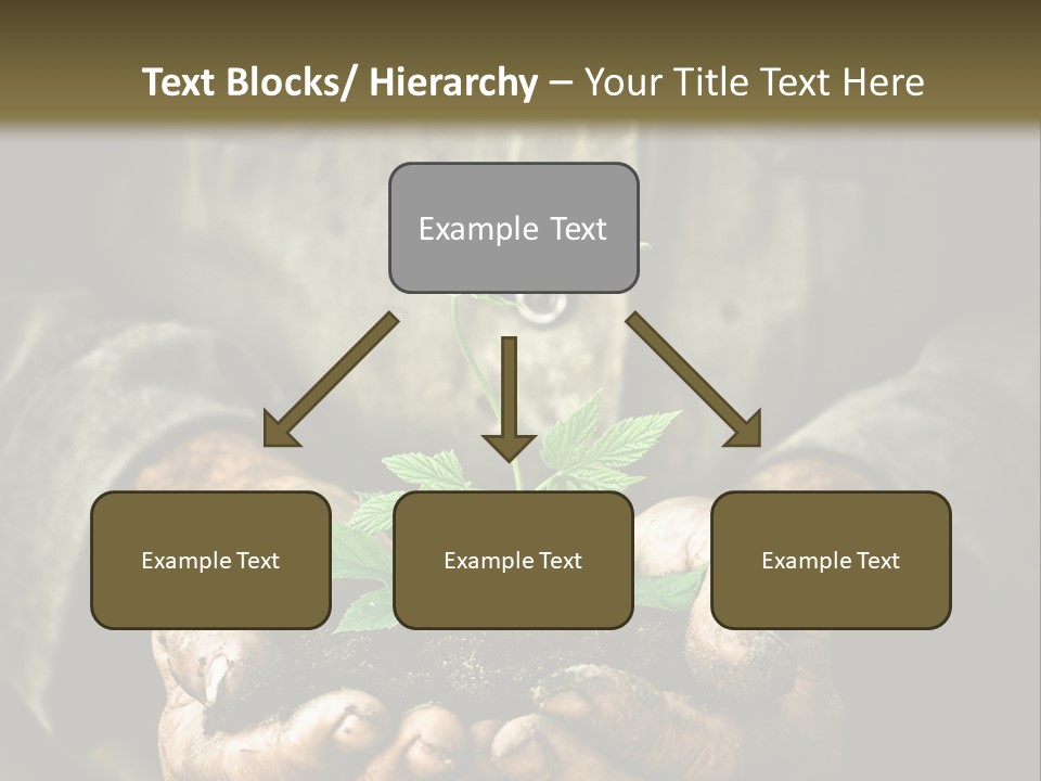 Dirty Soil Background PowerPoint Template