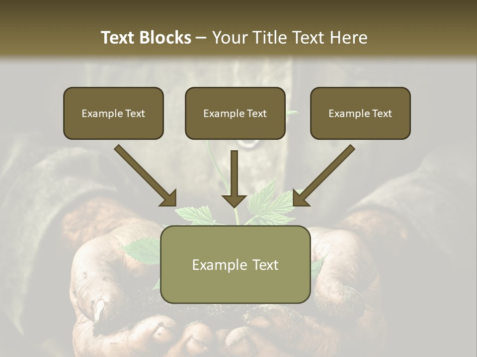 Dirty Soil Background PowerPoint Template