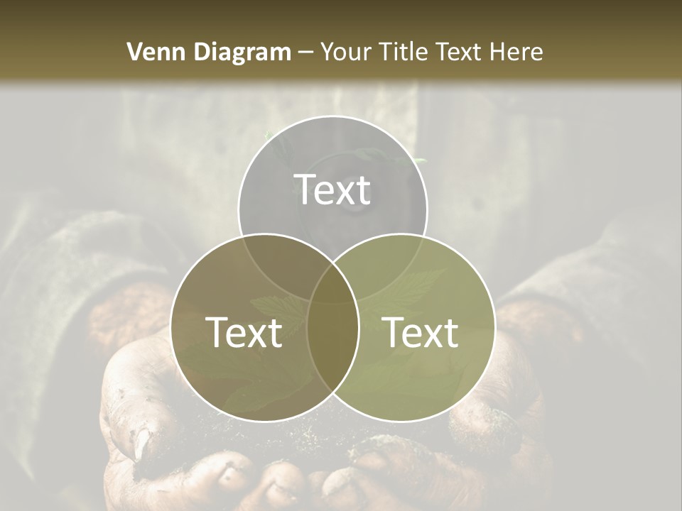 Dirty Soil Background PowerPoint Template