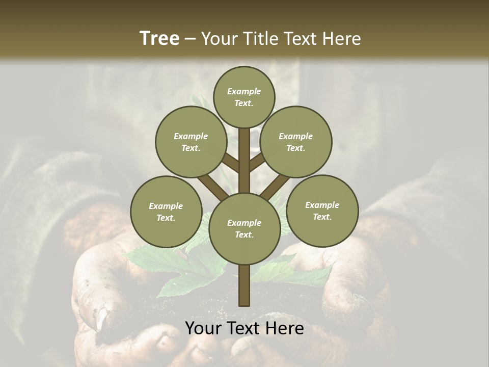 Dirty Soil Background PowerPoint Template