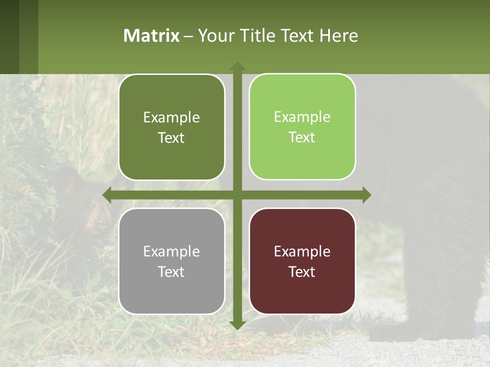 Wildlife Carolina American PowerPoint Template