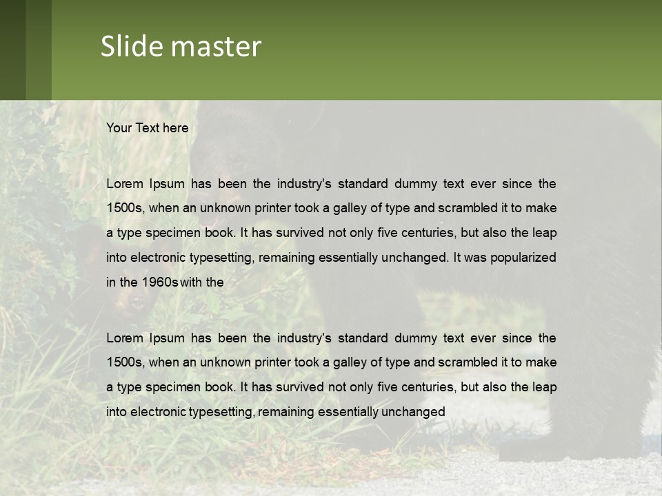 Wildlife Carolina American PowerPoint Template