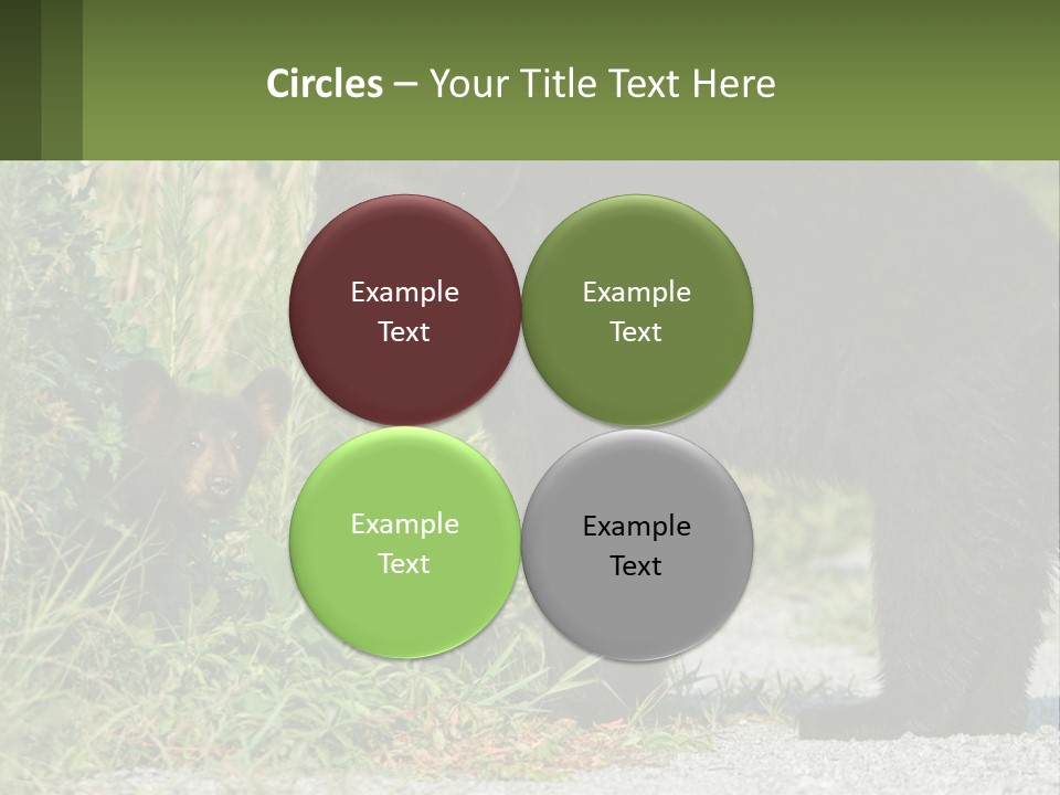 Wildlife Carolina American PowerPoint Template