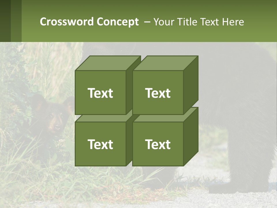 Wildlife Carolina American PowerPoint Template
