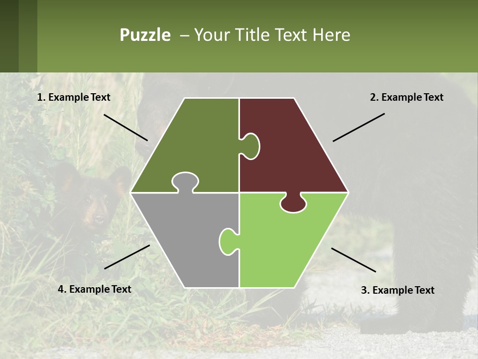 Wildlife Carolina American PowerPoint Template