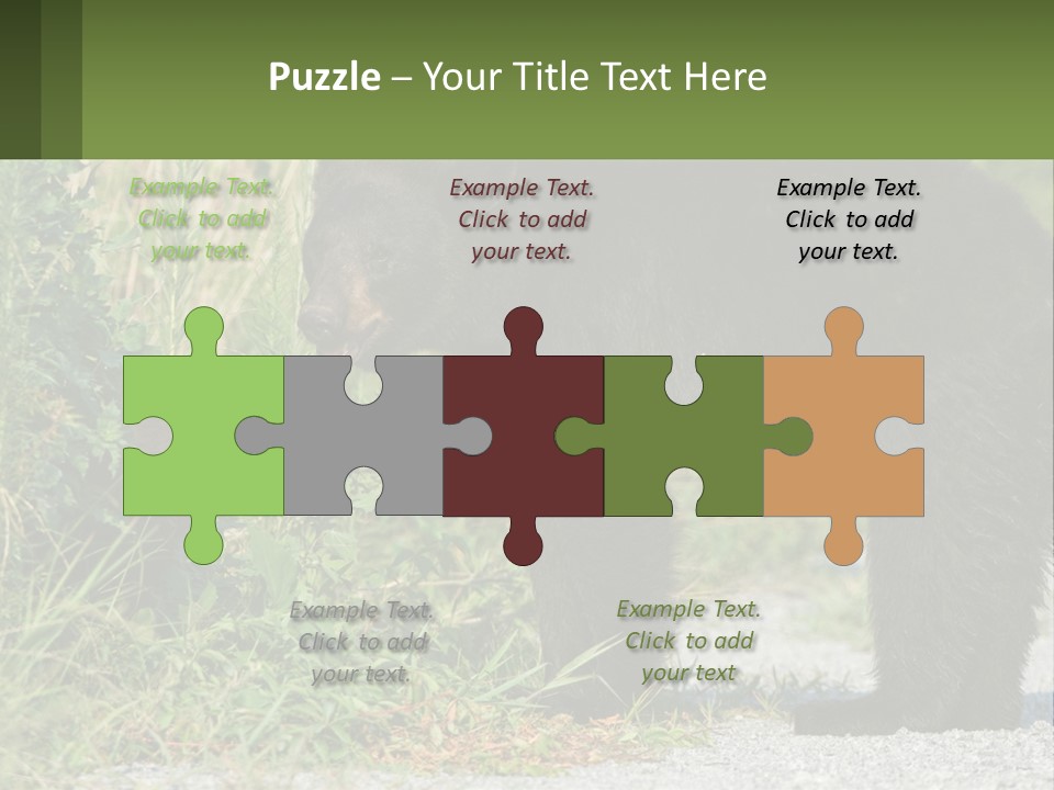 Wildlife Carolina American PowerPoint Template