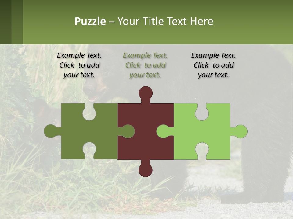 Wildlife Carolina American PowerPoint Template