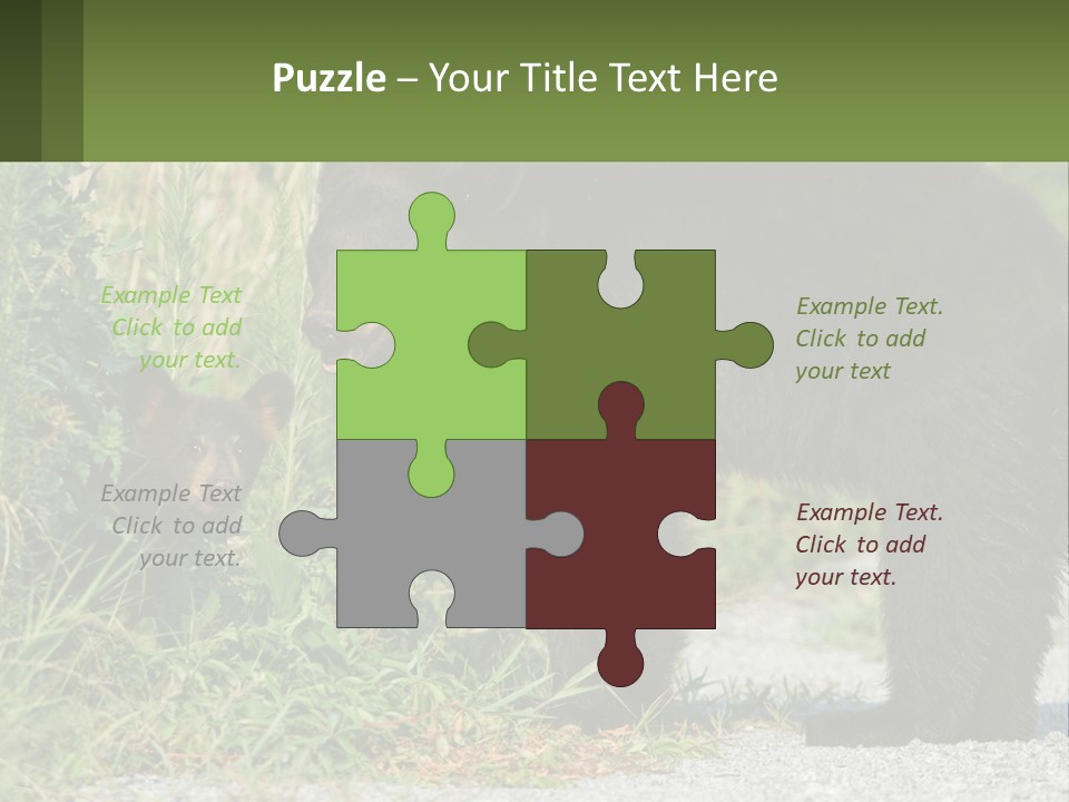 Wildlife Carolina American PowerPoint Template