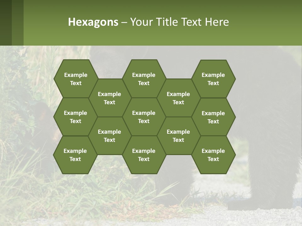 Wildlife Carolina American PowerPoint Template