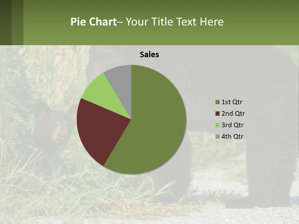 Wildlife Carolina American PowerPoint Template