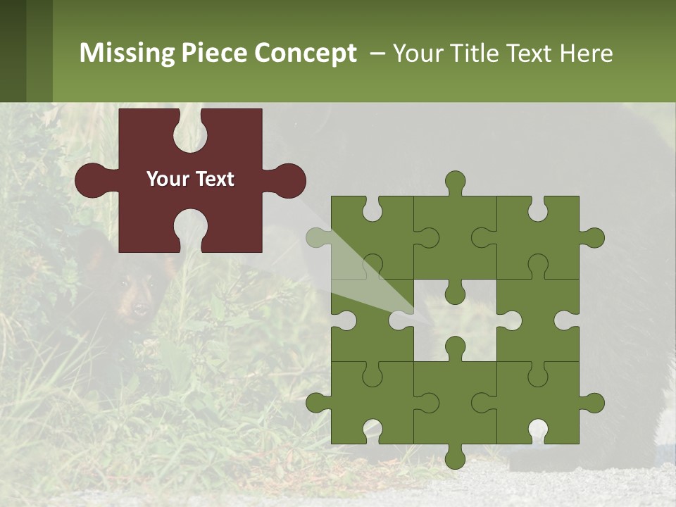 Wildlife Carolina American PowerPoint Template