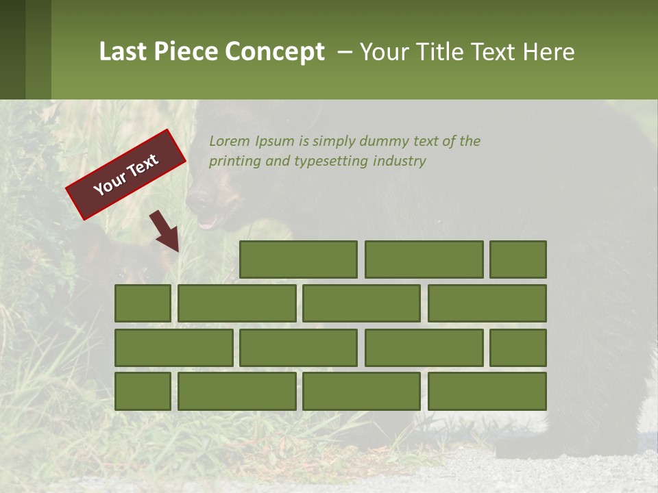 Wildlife Carolina American PowerPoint Template