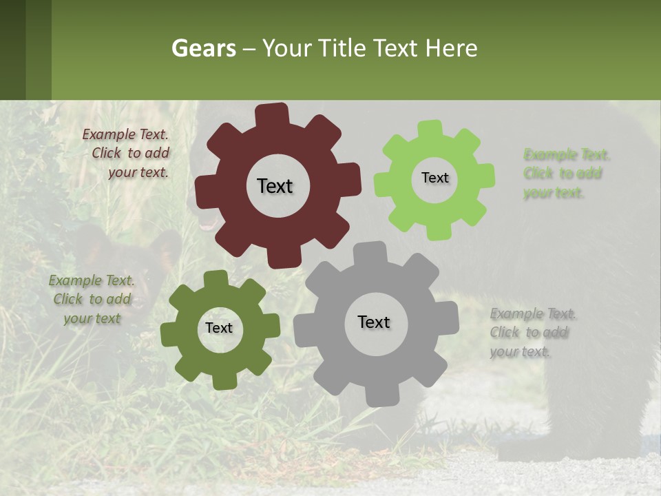 Wildlife Carolina American PowerPoint Template