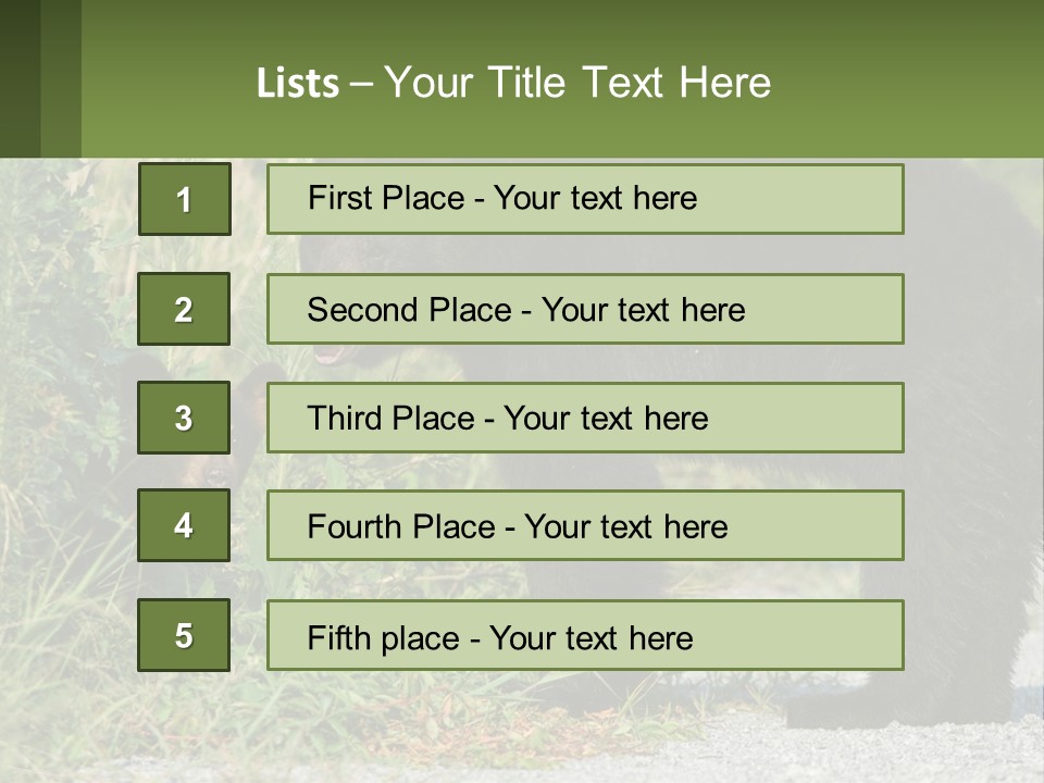 Wildlife Carolina American PowerPoint Template