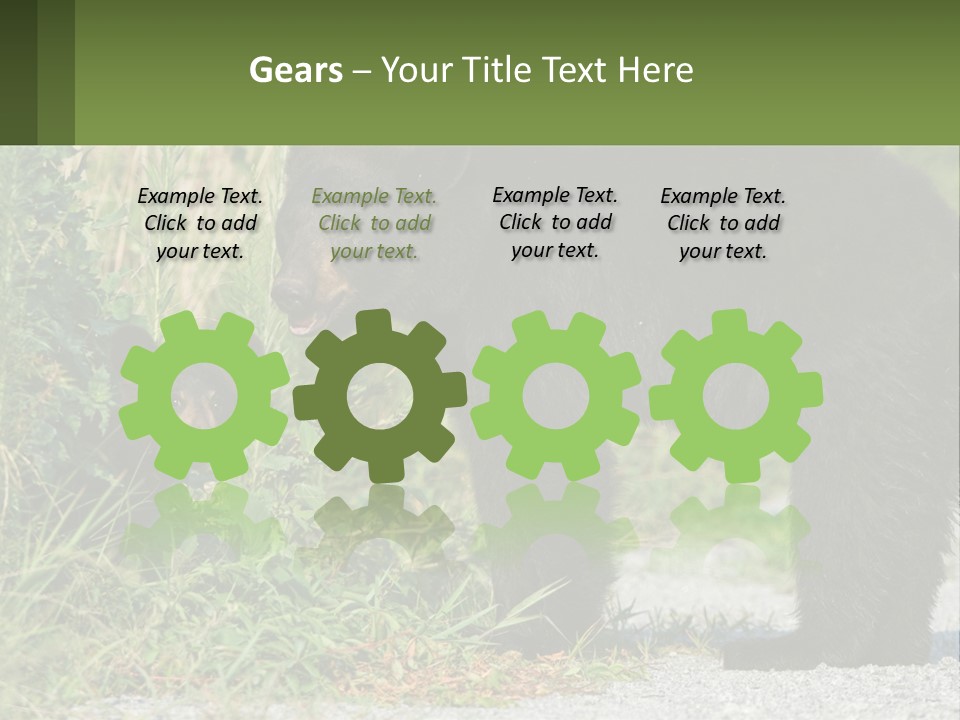 Wildlife Carolina American PowerPoint Template