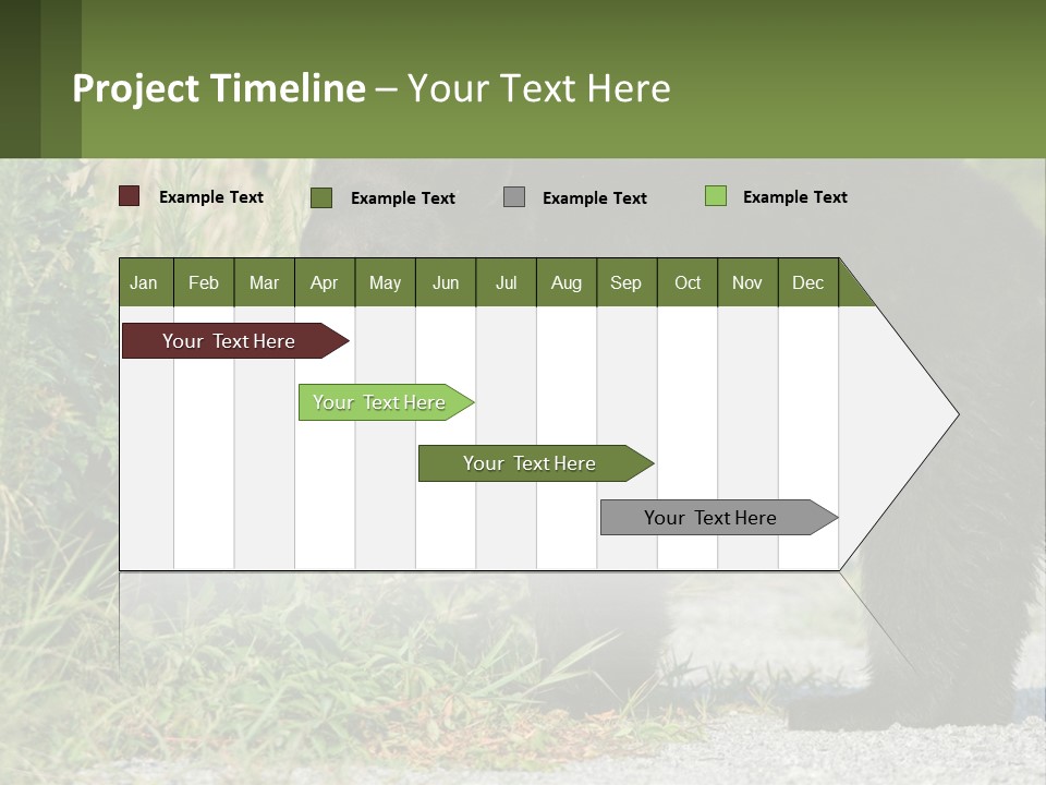 Wildlife Carolina American PowerPoint Template