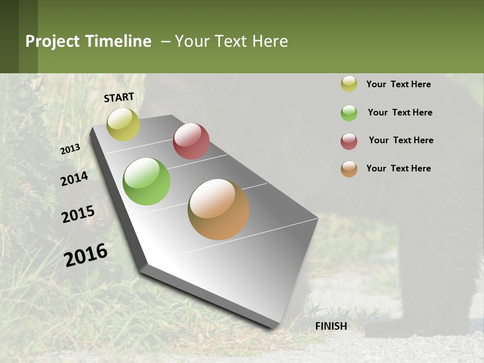 Wildlife Carolina American PowerPoint Template