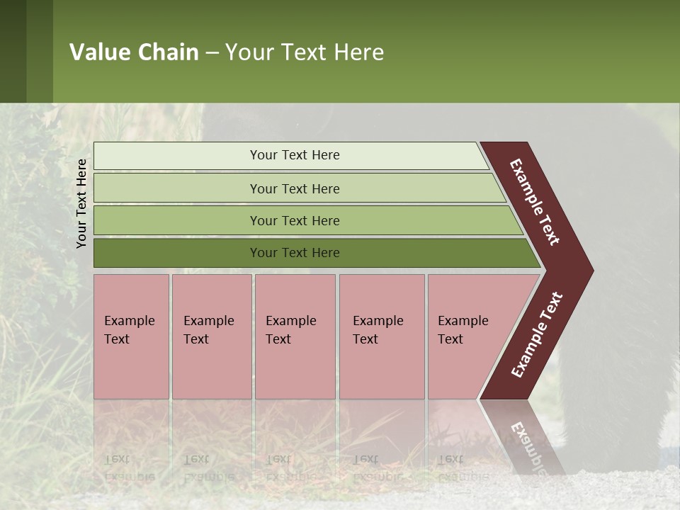 Wildlife Carolina American PowerPoint Template