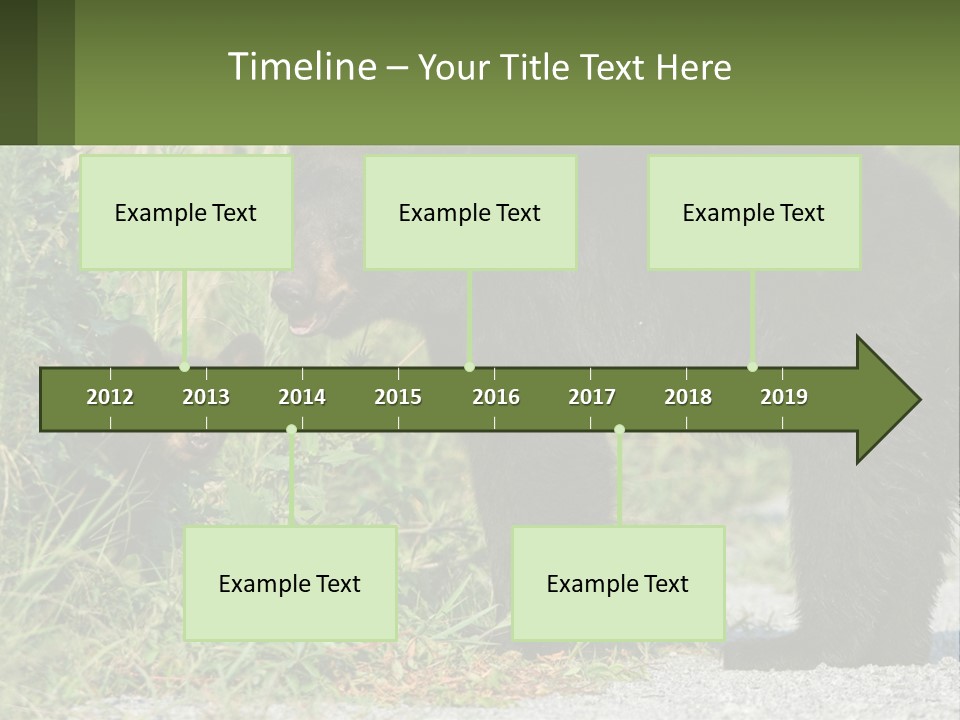 Wildlife Carolina American PowerPoint Template
