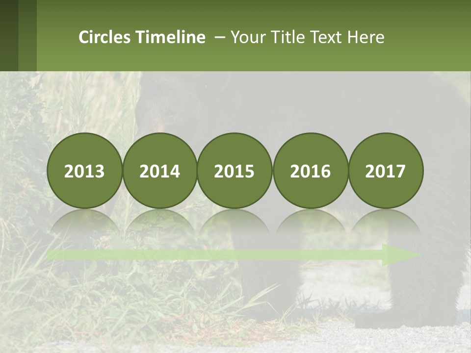 Wildlife Carolina American PowerPoint Template