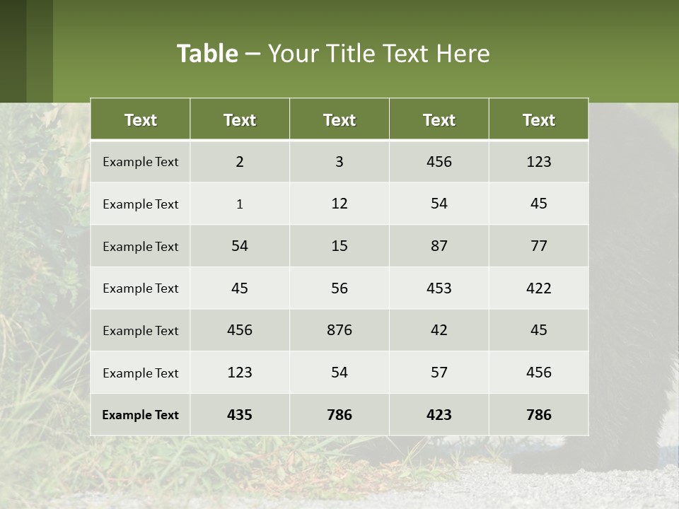 Wildlife Carolina American PowerPoint Template