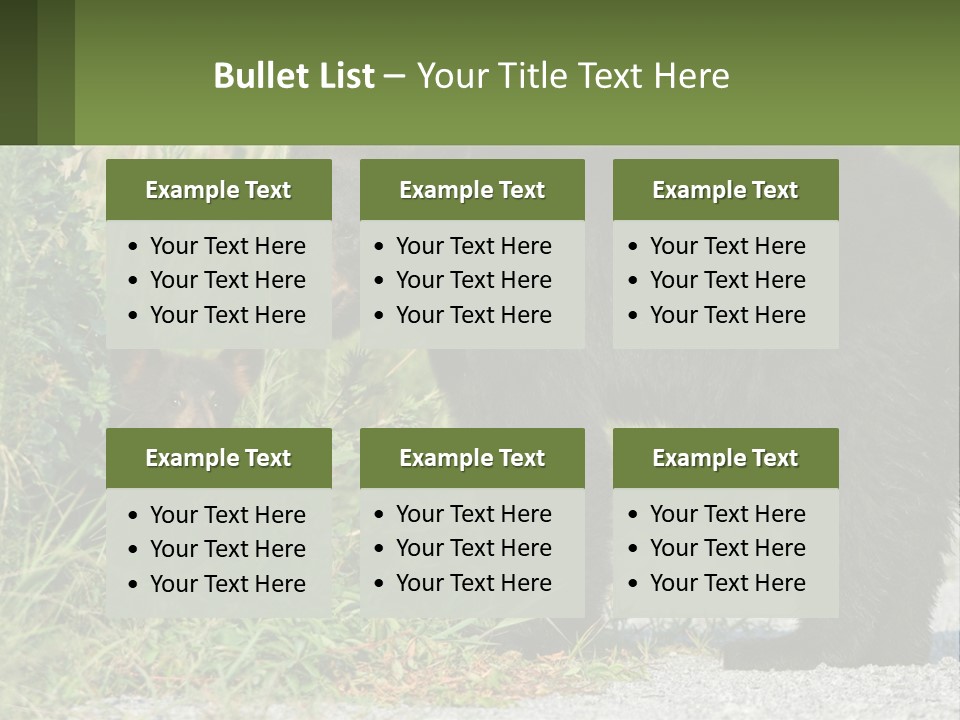 Wildlife Carolina American PowerPoint Template
