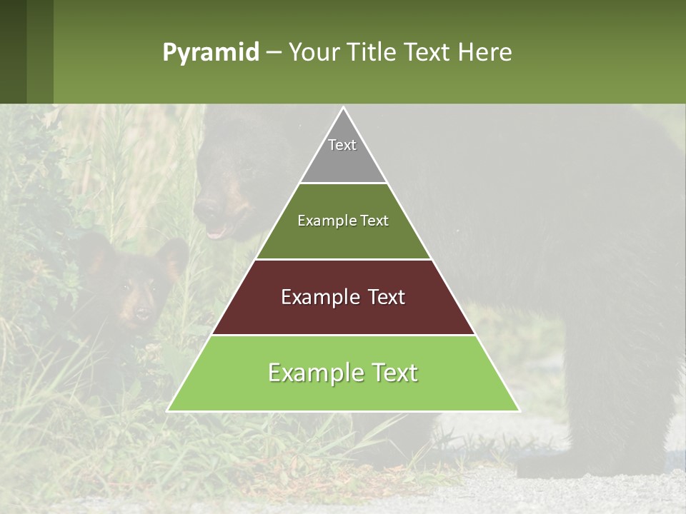 Wildlife Carolina American PowerPoint Template