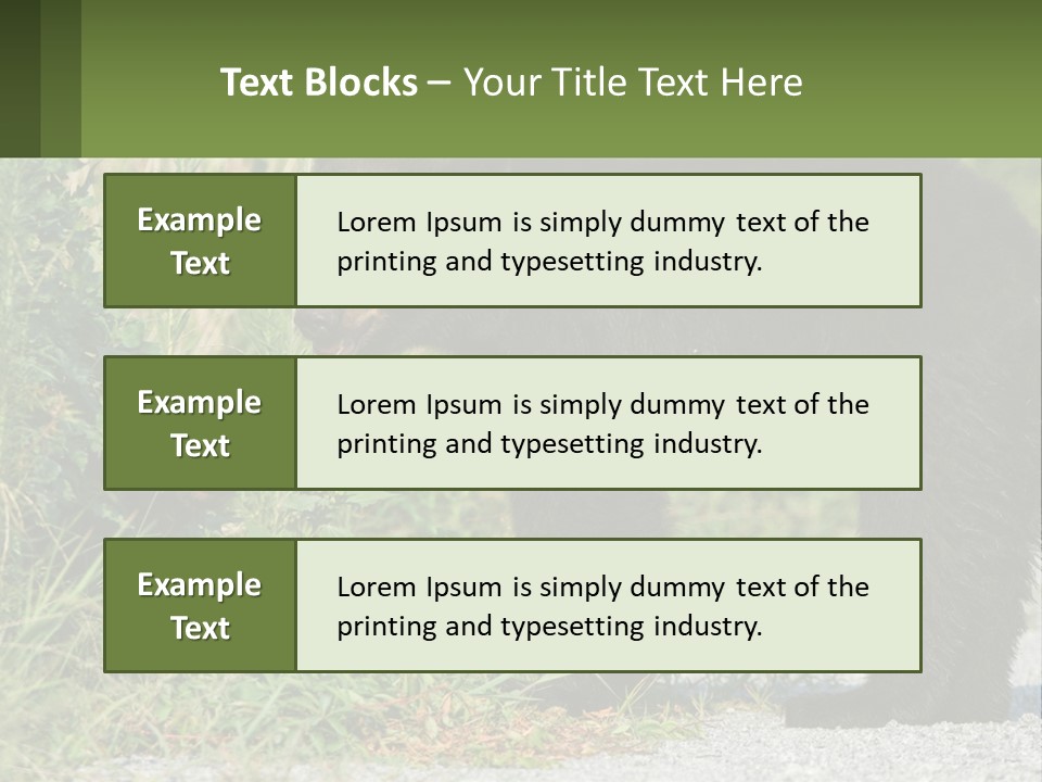 Wildlife Carolina American PowerPoint Template