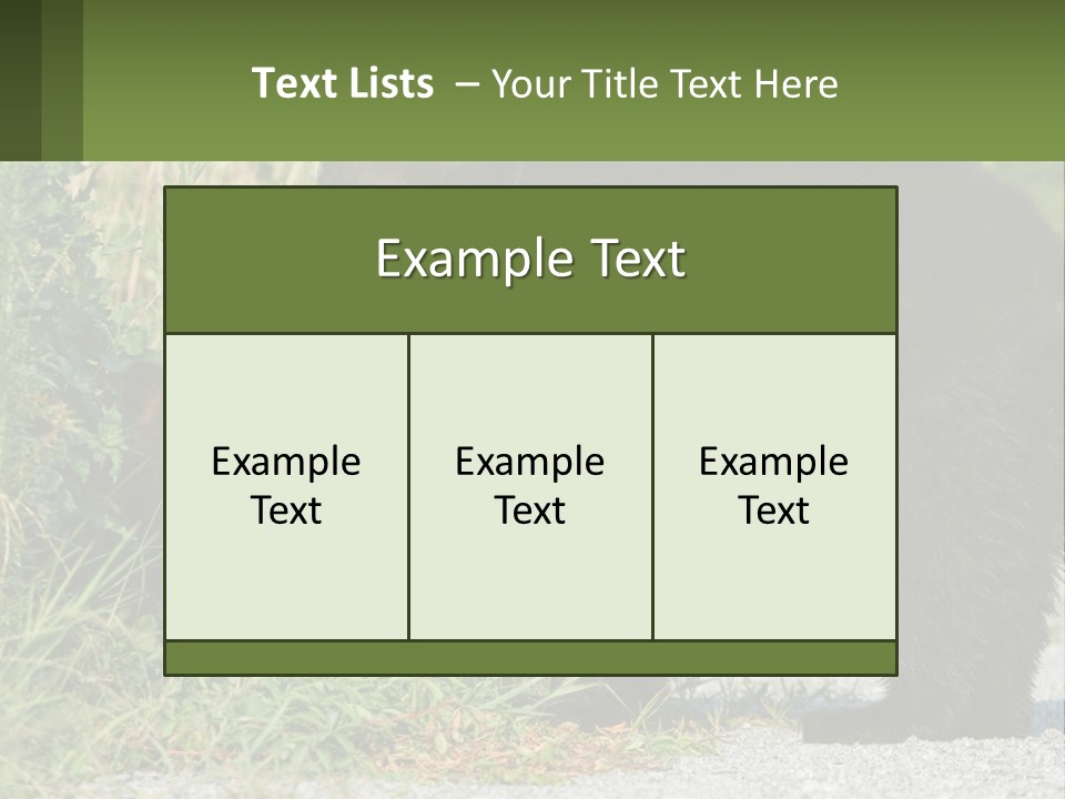 Wildlife Carolina American PowerPoint Template