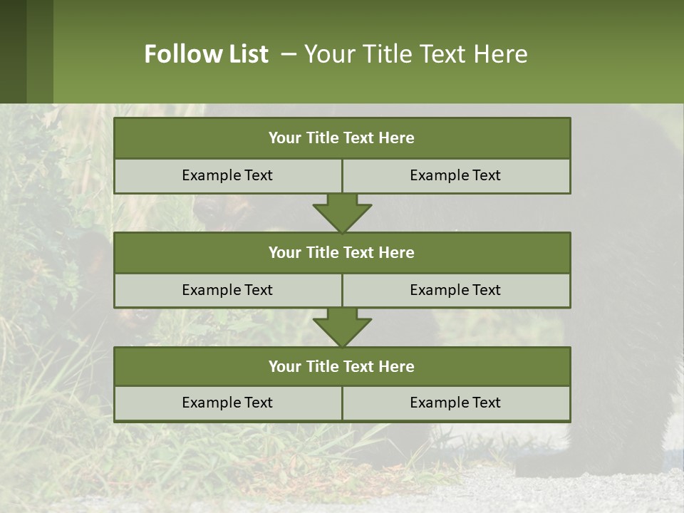 Wildlife Carolina American PowerPoint Template