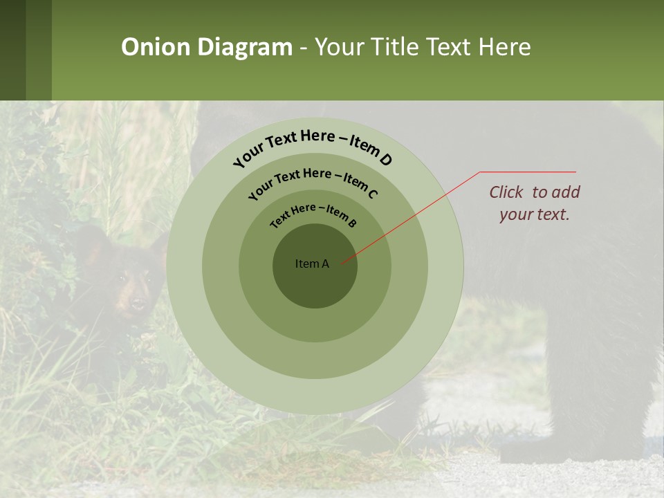 Wildlife Carolina American PowerPoint Template