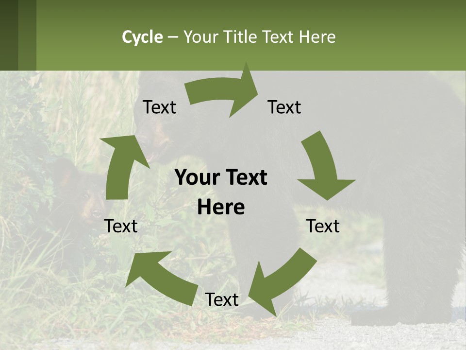 Wildlife Carolina American PowerPoint Template