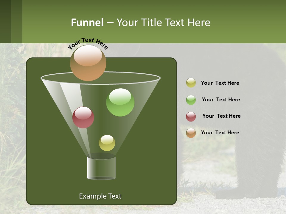 Wildlife Carolina American PowerPoint Template