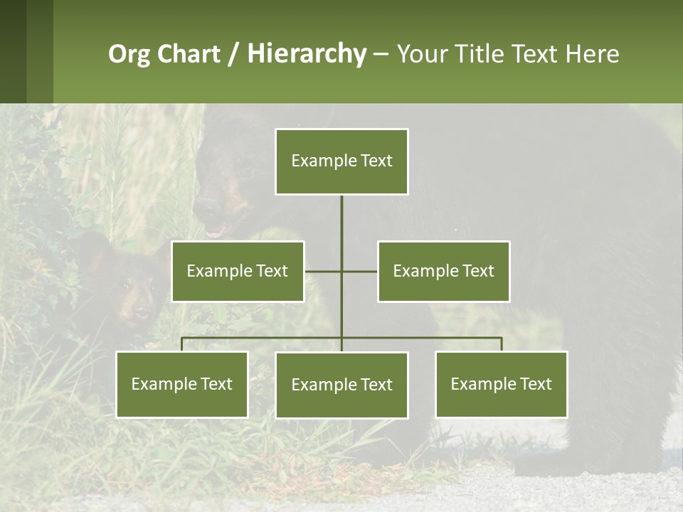 Wildlife Carolina American PowerPoint Template