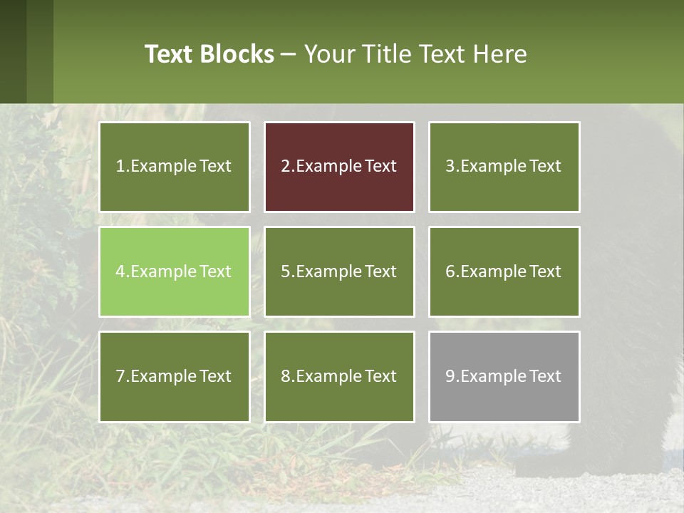 Wildlife Carolina American PowerPoint Template