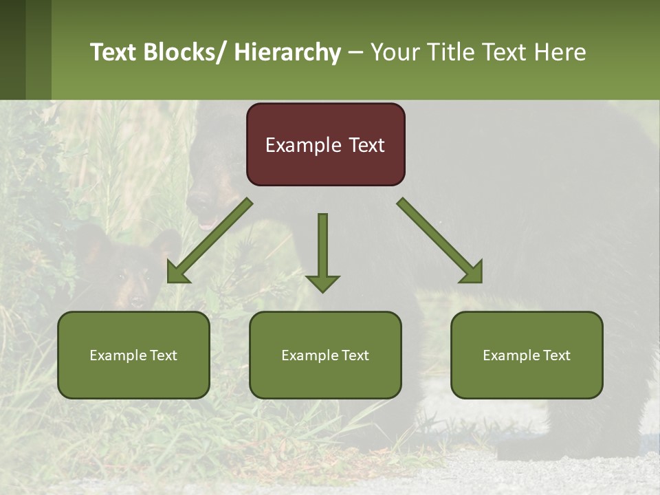 Wildlife Carolina American PowerPoint Template