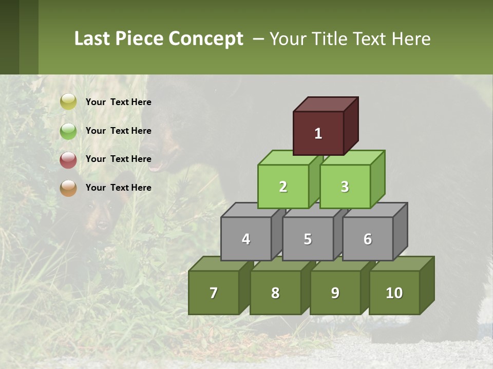 Wildlife Carolina American PowerPoint Template