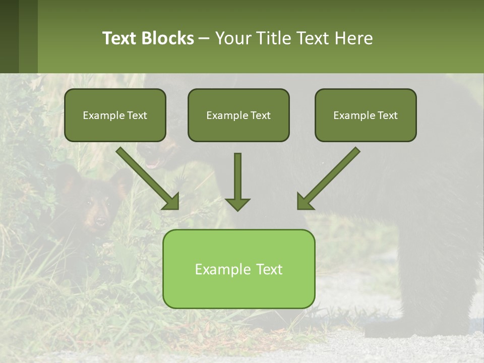 Wildlife Carolina American PowerPoint Template