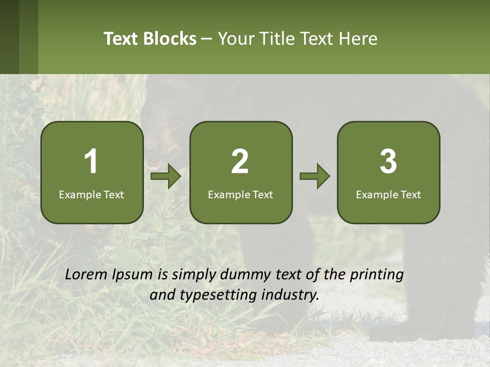 Wildlife Carolina American PowerPoint Template